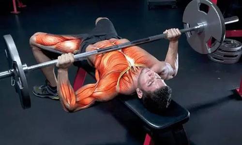 哑铃卧推需要做几组 哑铃卧推做几组一组做几个