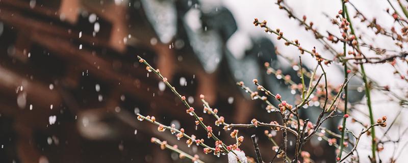 今年冬天到底冷不冷 今年冬天到底冷不冷?官方回应
