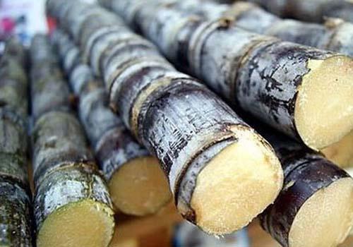 冬天吃甘蔗有什么好处 冬天吃甘蔗有什么好处和坏处