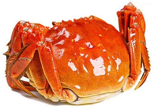 刚吃了死的螃蟹怎么办