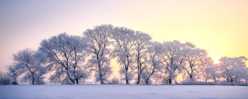 2020冬天真的会很冷吗 2020这个冬天会不会很冷