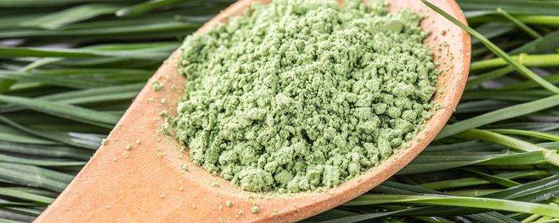大麦苗粉有什么作用 大麦苗粉和小麦苗粉的功效与作用