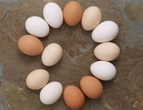 鸡蛋怎么吃最不健康（鸡蛋怎样吃更健康）