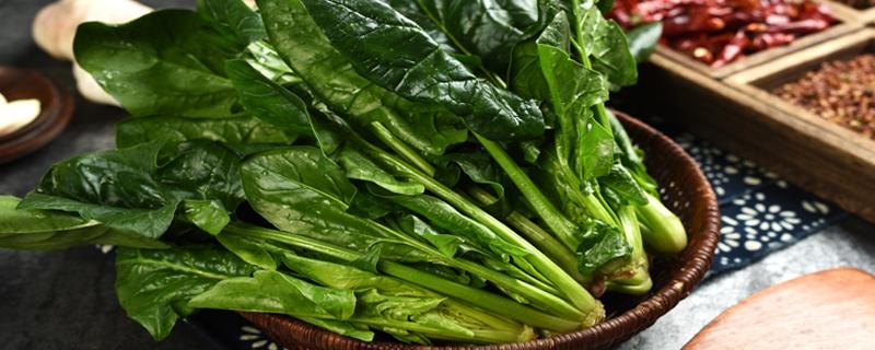 菠菜汁的功效与作用（菠菜汁的功效与作用是什么）