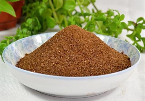 肉苁蓉粉泡水喝的功效 肉苁蓉粉泡水喝的功效与禁忌