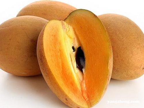 孕妇可以吃人心果吗（孕妇可以吃人心果吗晚期）