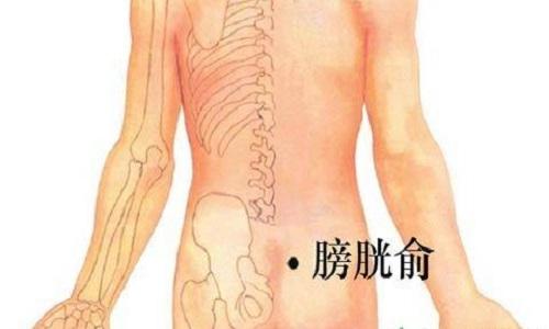 膀胱俞的准确位置图和作用（膀胱俞的准确位置图和作用视频）