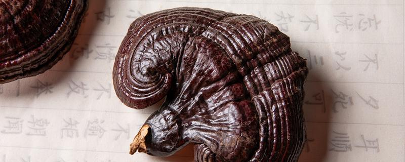 树舌灵芝的功效与作用 桃树树舌灵芝的功效与作用