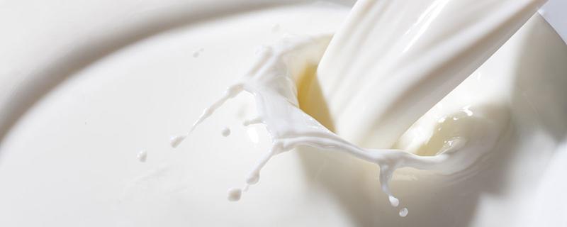 牛奶炖鸡蛋的功效与作用 牛奶炖鸡蛋有什么功效和作用