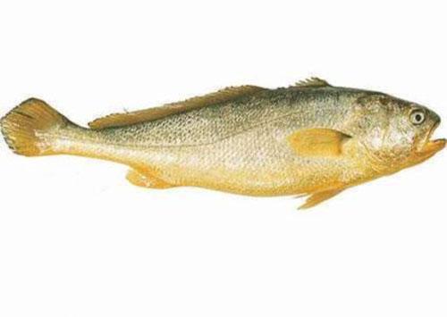 红眼病不能吃什么东西（红眼病不能吃什么东西和水果）