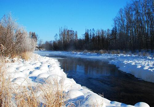 三九天几九最冷（九九天几九最冷）