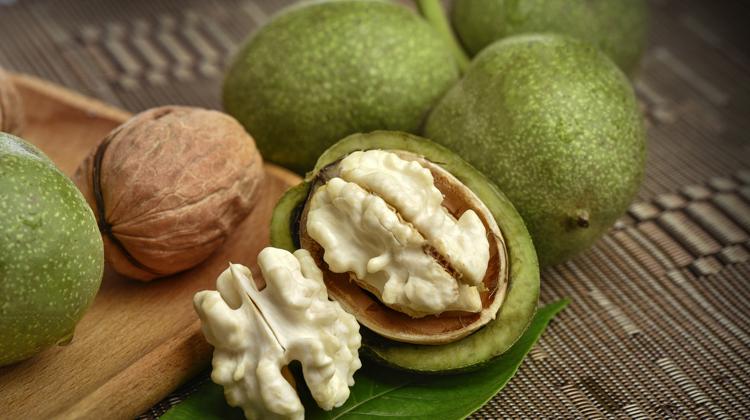 核桃绿皮的功效与作用（核桃绿皮的功效与作用图片）