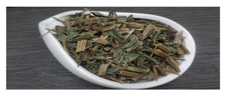 黑旱莲草的功效与作用 黑旱莲草的功效与作用的功效与作用