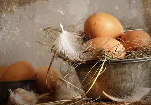 每天吃一个鸡蛋有什么好处和坏处 每天吃一个鸡蛋有什么好处