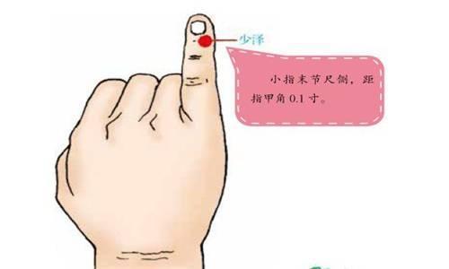 少冲准确位置图和作用（少冲准确位置图和作用功效）