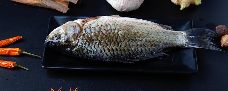 红烧鱼一般用什么鱼刺少 红烧鱼一般用什么鱼
