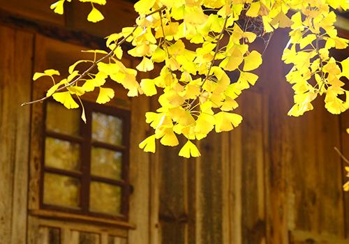 空调扇没水会怎么样 空调扇水没有了会出现什么问题