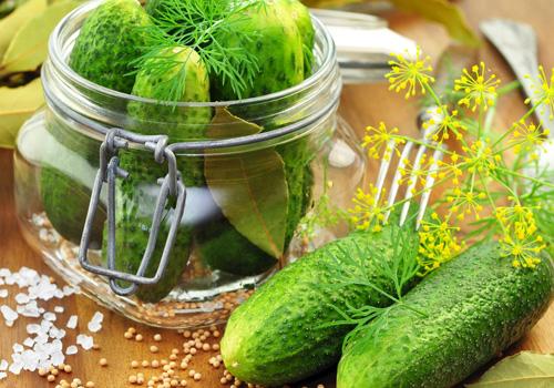 黄瓜和什么榨汁好喝 黄瓜榨什么汁比较好吃