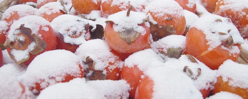 柿子能不能冷冻 冻柿子用生的还是熟的