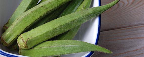 秋葵是哪个季节的蔬菜 现在是秋葵的季节吗