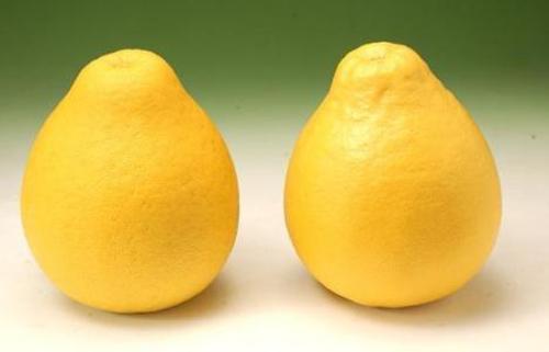 柚子的功效 柚子皮的妙用