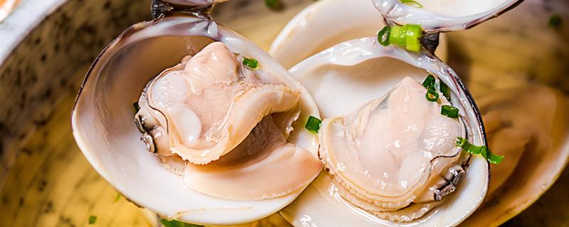 花甲用什么饲养的 花甲用什么饲养