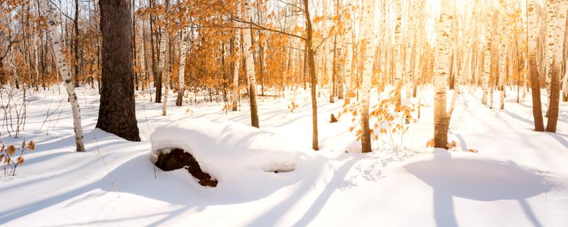 为什么说2020年冬天比较冷 2020为什么说今年冬天比较冷