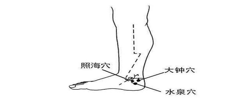 水泉是什么意思（水泉是什么意思网络用语）