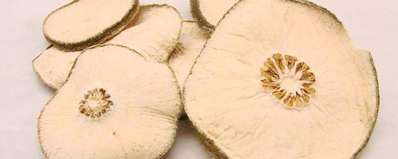 减肥果泡水一天喝几次（瘦身果泡水一天喝几次）