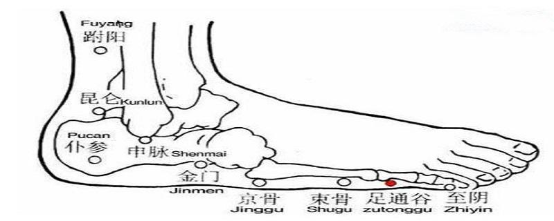 足通谷在什么位置图片 足通谷的位置作用及功效