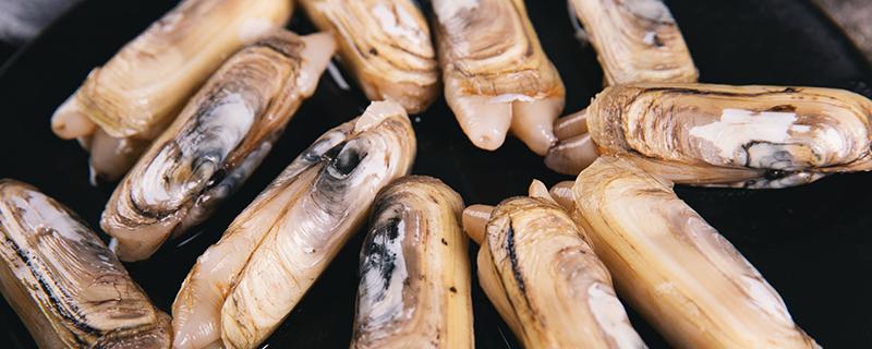 蛏子煮多长时间熟（蛏子煮多长时间熟啊）