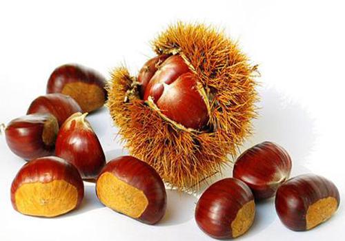 吃板栗有什么好处 如何挑选板栗