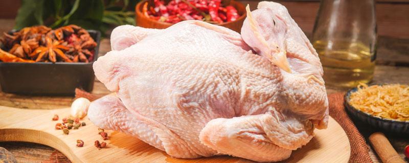 鸡胆的功效与作用 鸡胆的功效与作用及食用方法,副作用与禁忌