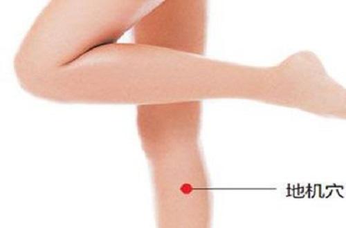 地机准确位置图和作用(地机准确位置图和作用阴陵泉)