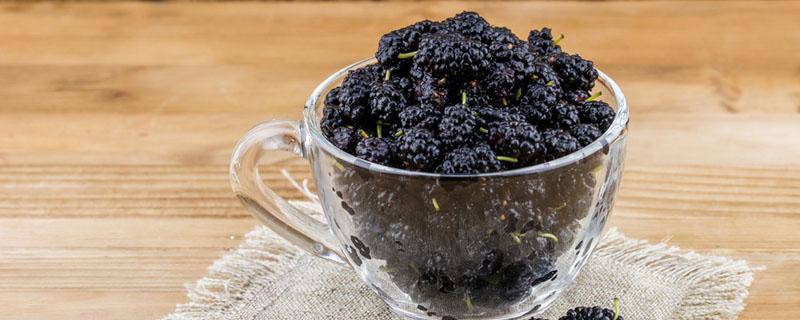 桑葚干500克可泡几斤白酒 一斤桑葚干可以泡酒几斤