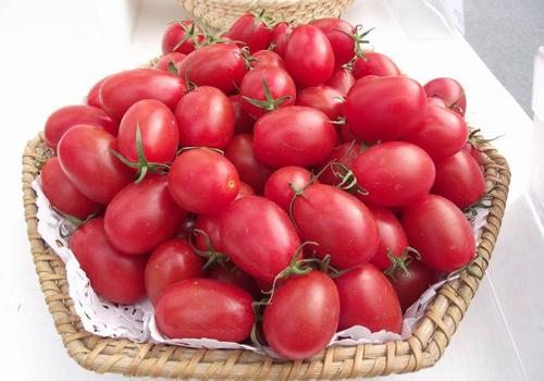 减肥吃什么效果最好 减肥吃什么效果最好最快