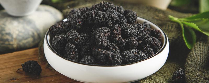 桑椹干功效和用量（干桑椹作用）