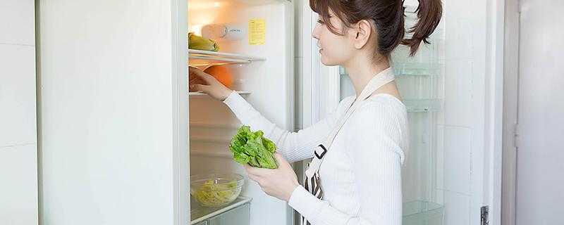 温菜可以放冰箱吗（温菜可以放冰箱吗几天）