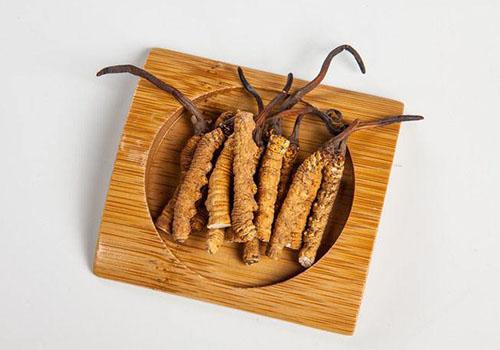 虫草放冷藏还是冷冻（虫草放冷藏还是冷冻好）