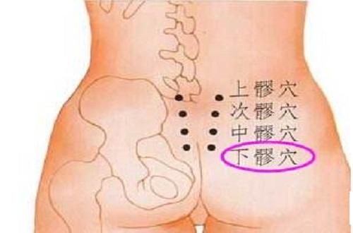 下髎的准确位置图 下髎的准确位置图片及功效