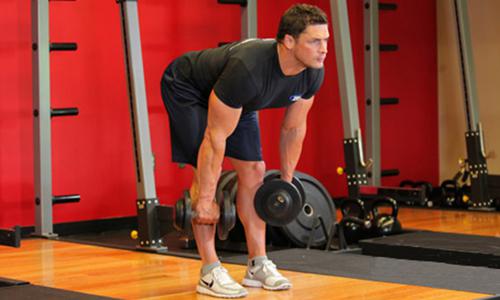 哑铃硬拉的标准动作 哑铃硬拉的标准动作要领