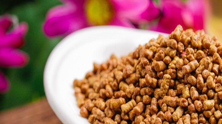 生决明子的功效与作用（生决明子的功效与作用及食用方法）