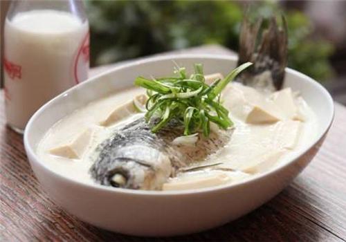 清炖鲤鱼汤