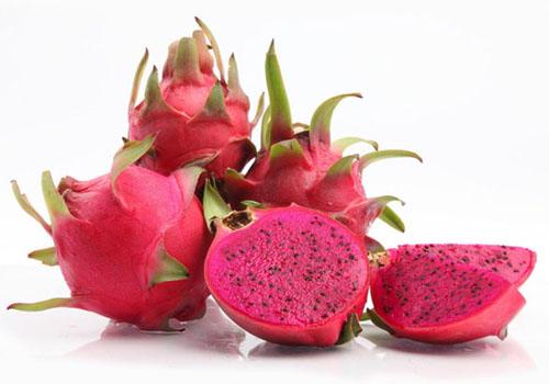 宝宝能吃火龙果吗（10个月宝宝能吃火龙果吗）