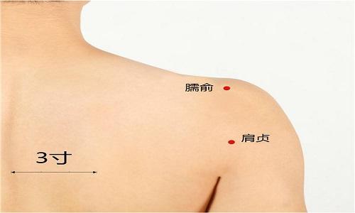 臑俞的准确位置图作用（臑俞的准确位置图片及作用）