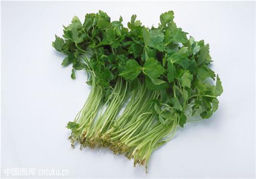 芫荽的功效与作用（芫荽的功效与作用及营养价值）