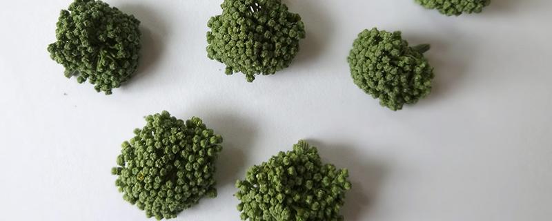 三七花泡水放几朵 三七花泡水放几朵比较好