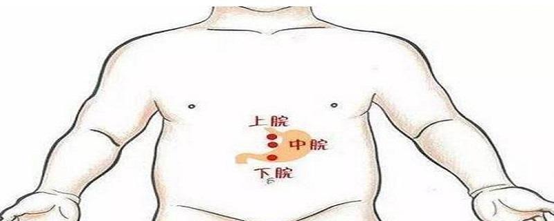 上脘在哪个位置（上脘在什么地方）