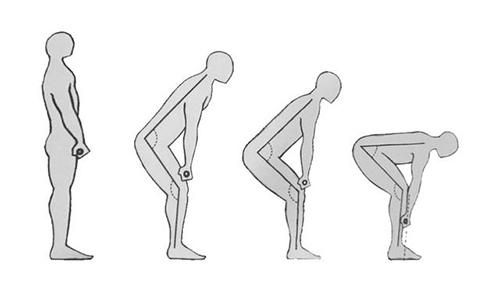 罗马尼亚硬拉和直腿硬拉的区别(罗马尼亚硬拉和屈腿硬拉区别)
