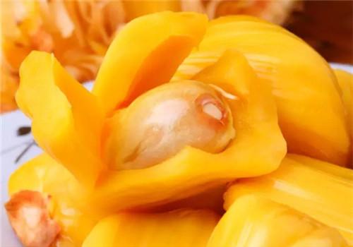 菠萝蜜的核能吃吗（菠萝蜜的核能吃吗煮多久）